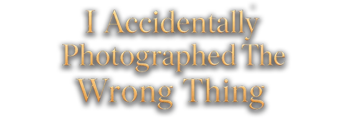I Accidentally Photographed The Wrong Thing