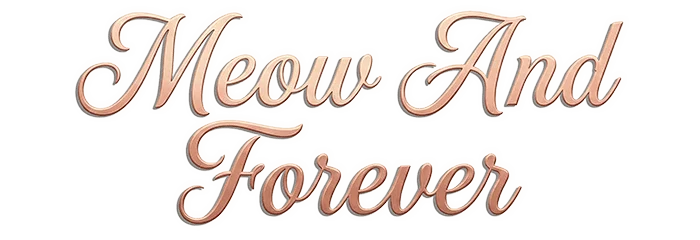 Meow And Forever